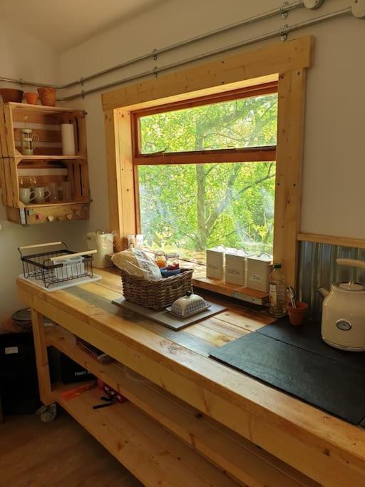 The Potting Shed Near Tenby, 100" Projector, Four Poster Bed, On-Site Hot Tub Access Via Spa Pack, Breakfast Exteriör bild